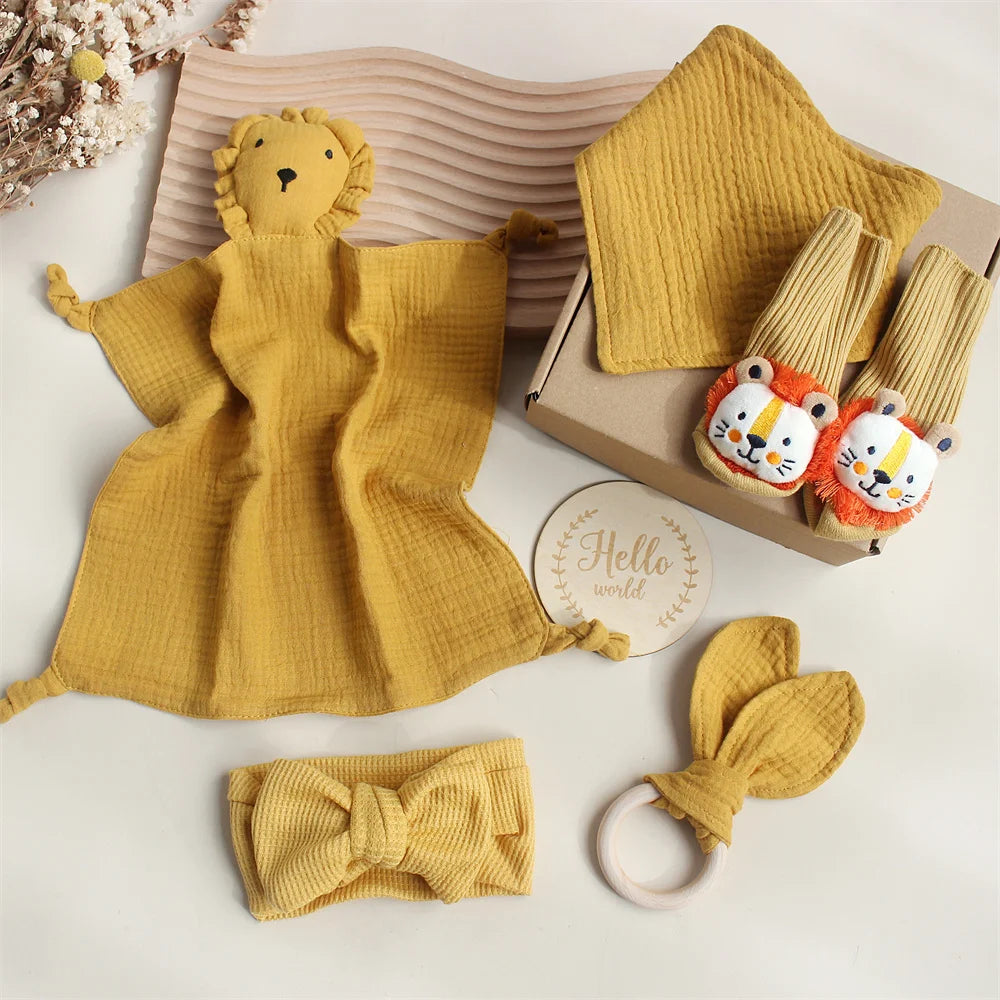Baby Gift Set