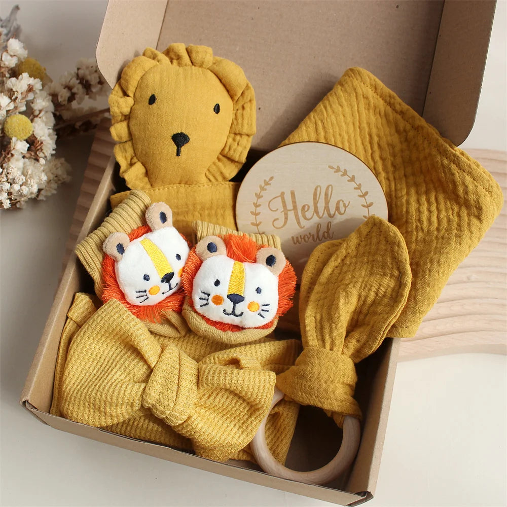 Baby Gift Set