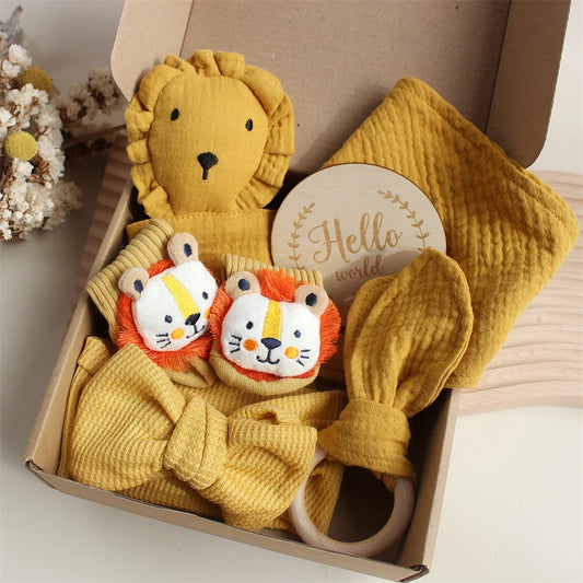 Baby Gift Set