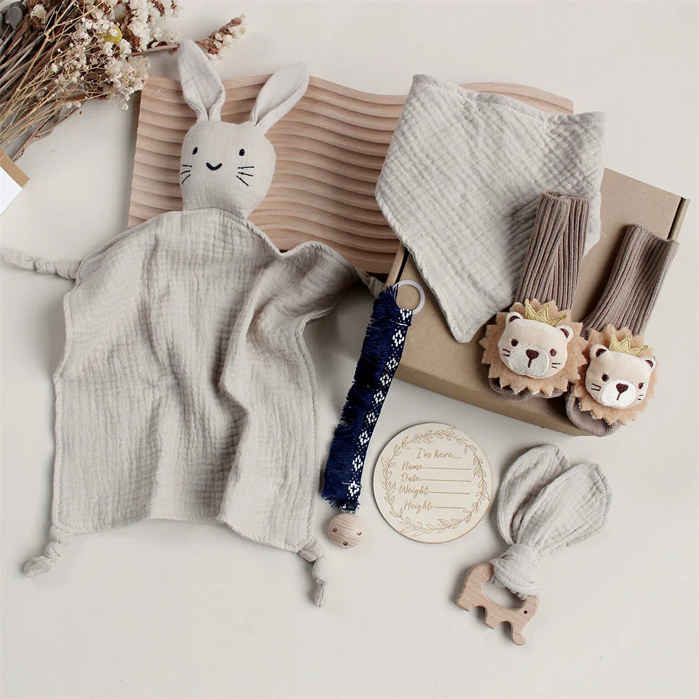Baby Gift Set