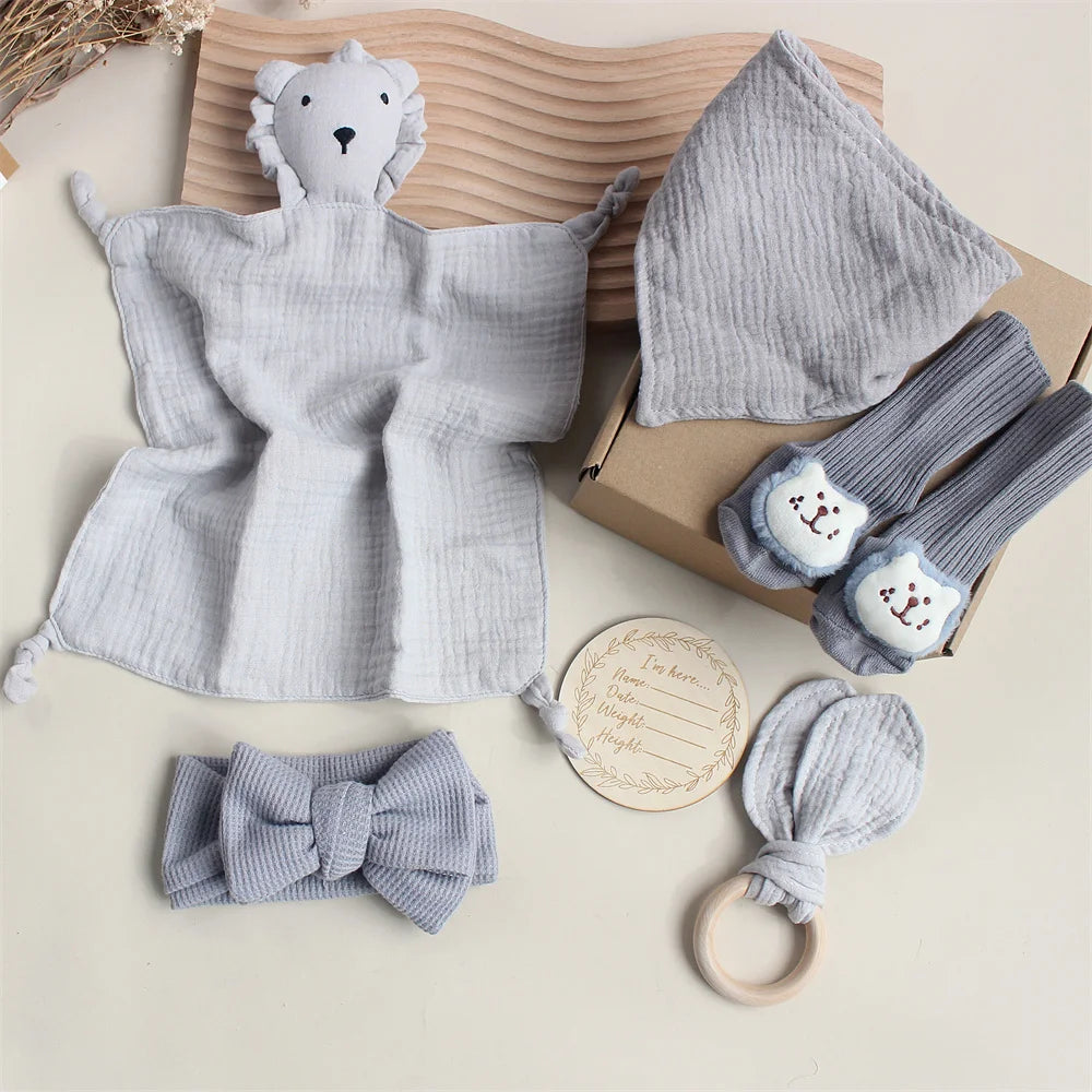 Baby Gift Set
